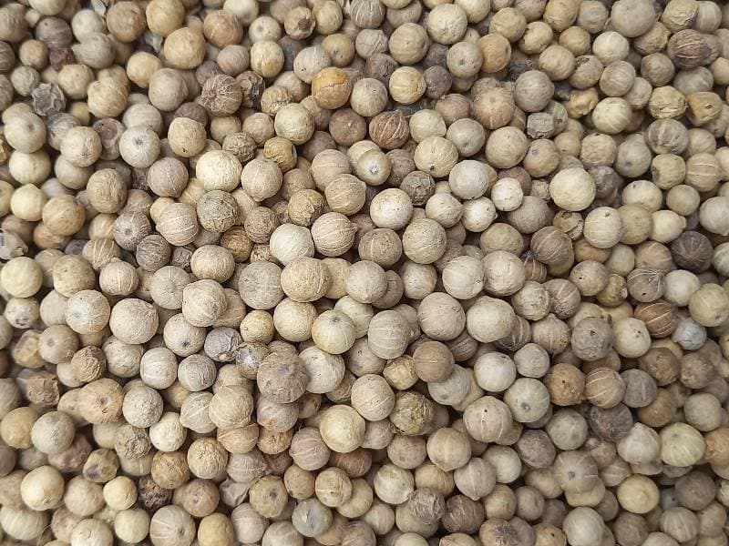 White Pepper